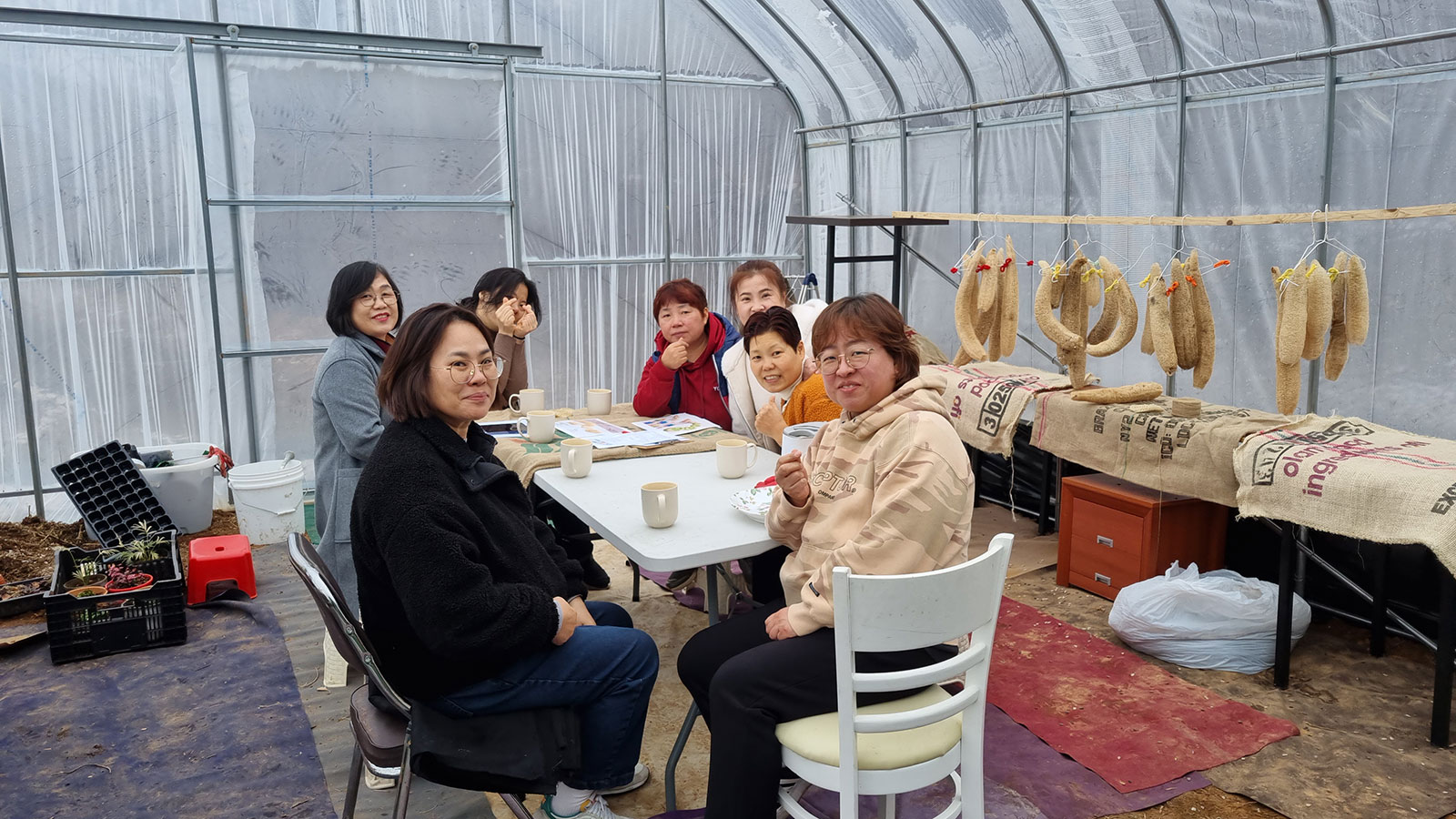 체험 프로그램